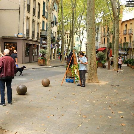 La Cigogne Daire Céret Dış mekan fotoğraf