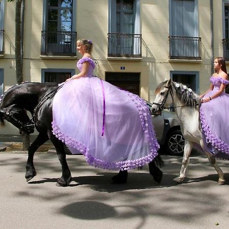 La Cigogne Daire Céret Dış mekan fotoğraf