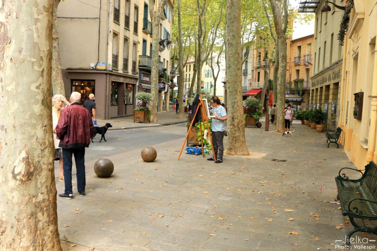 La Cigogne Daire Céret Dış mekan fotoğraf