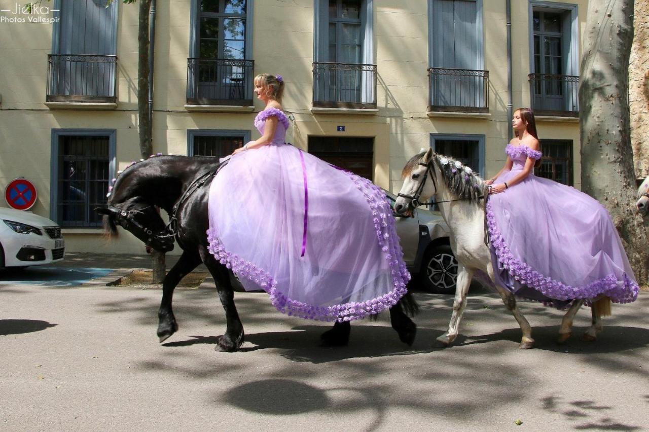 La Cigogne Daire Céret Dış mekan fotoğraf