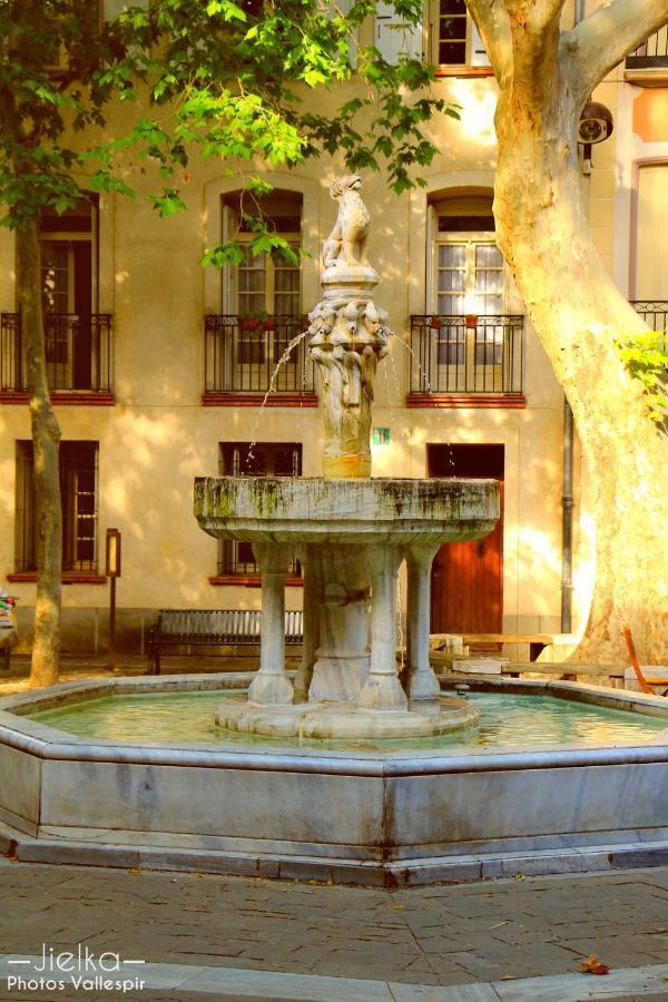 La Cigogne Daire Céret Dış mekan fotoğraf