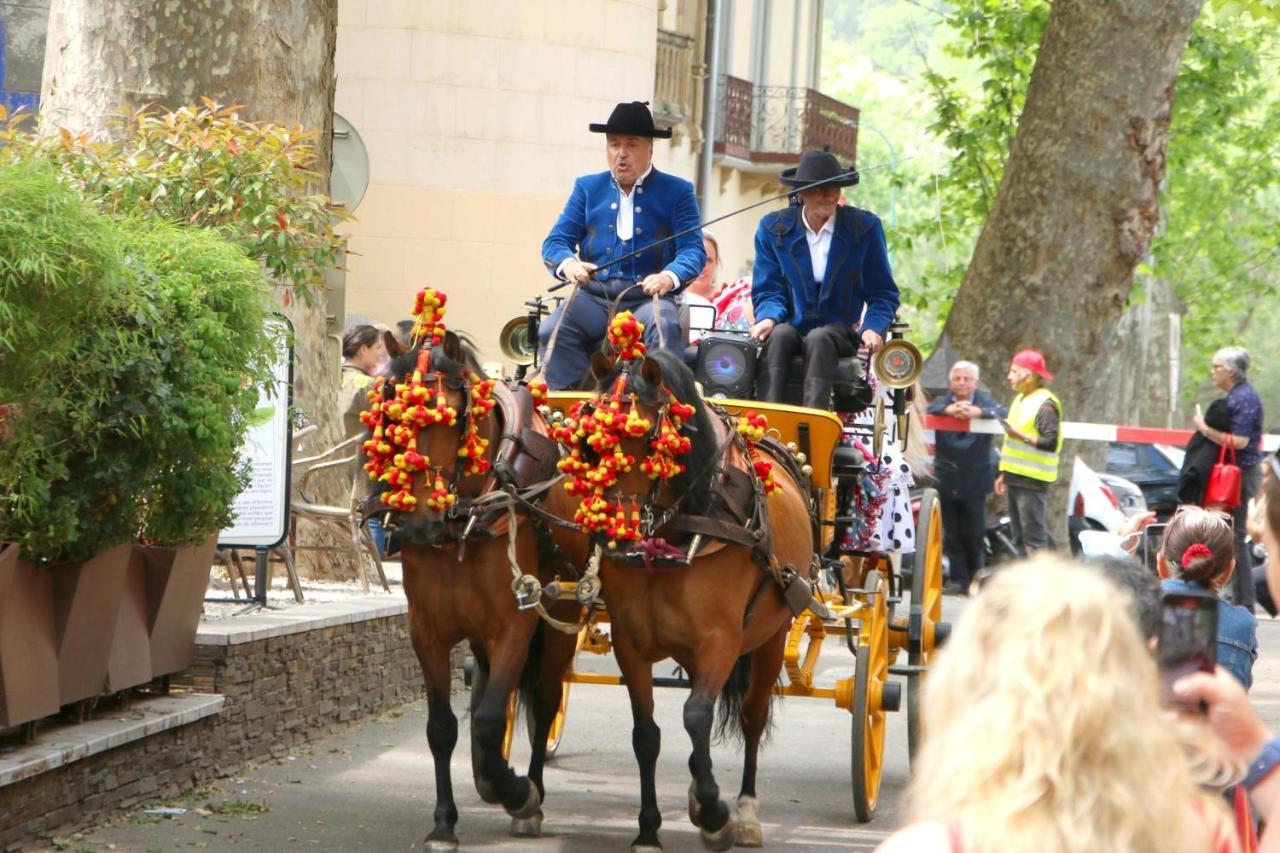 La Cigogne Daire Céret Dış mekan fotoğraf
