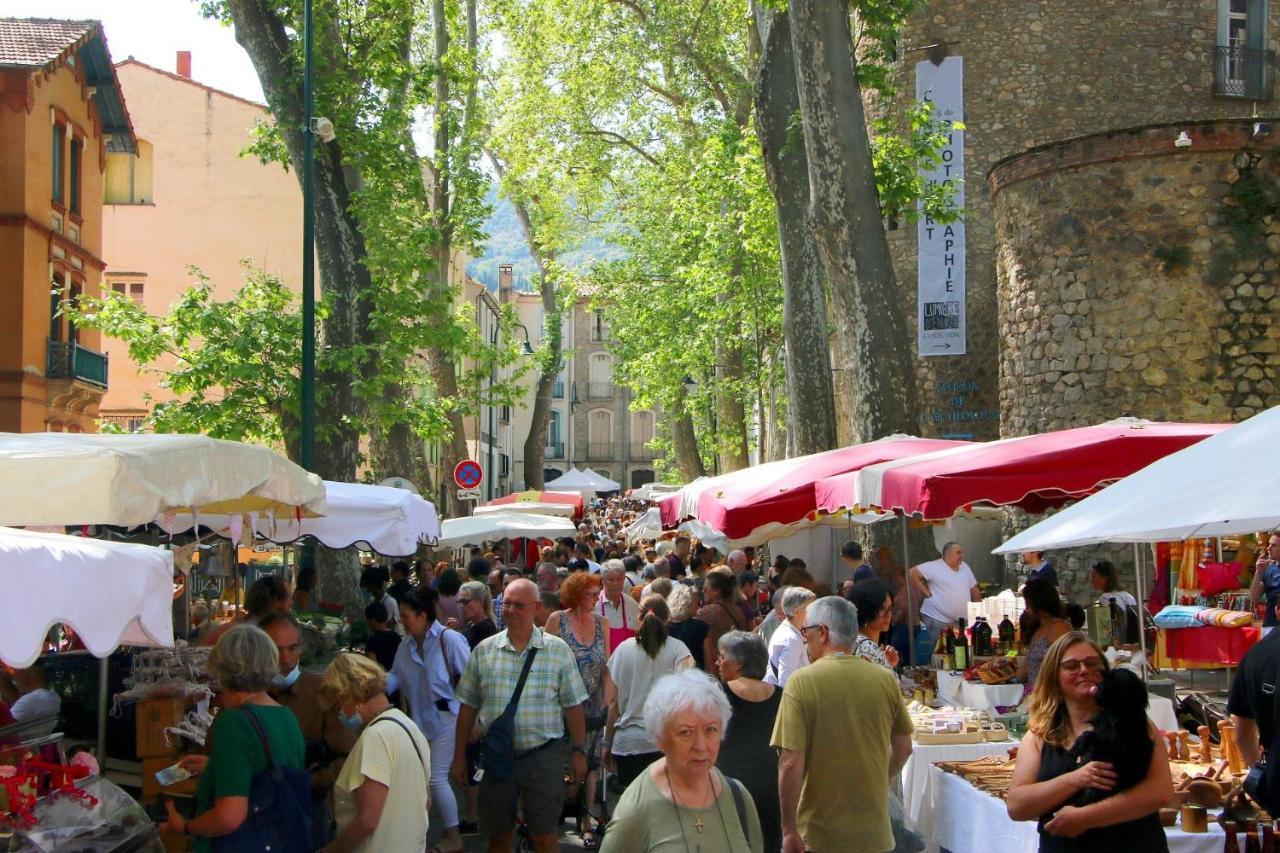 La Cigogne Daire Céret Dış mekan fotoğraf