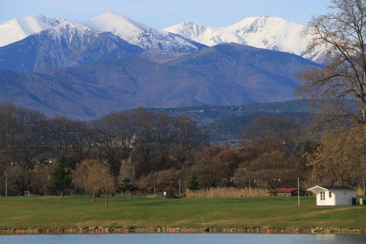 La Cigogne Daire Céret Dış mekan fotoğraf