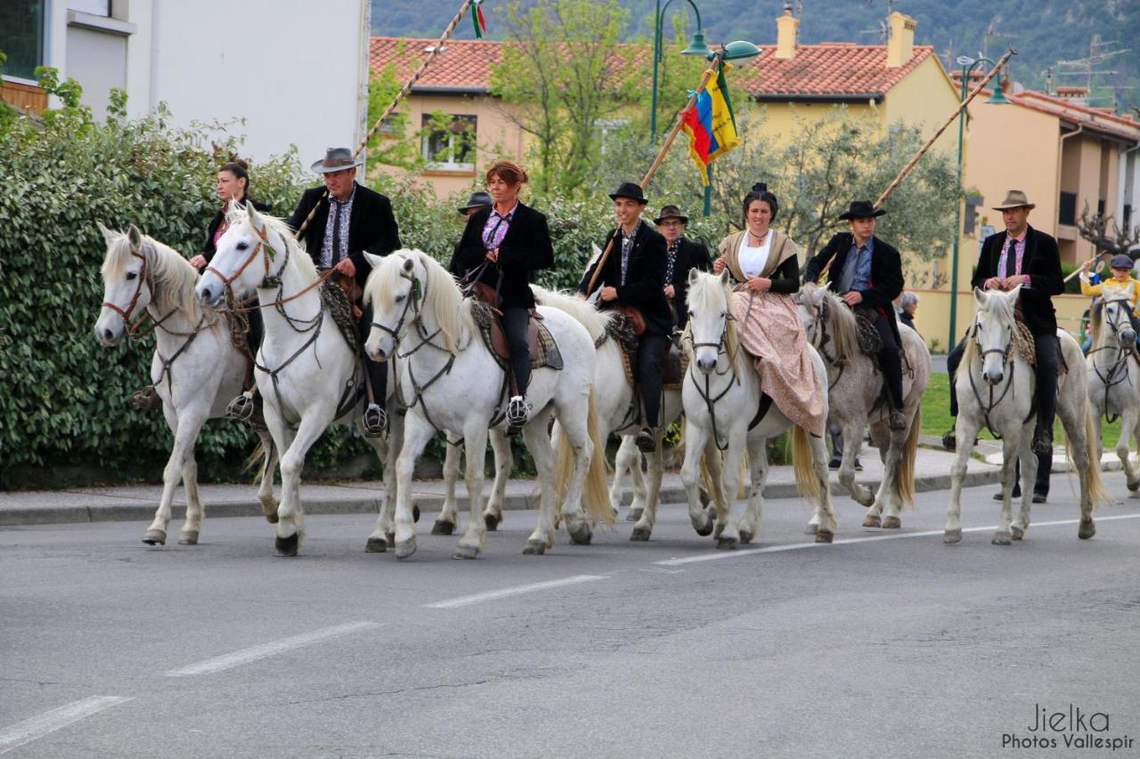 La Cigogne Daire Céret Dış mekan fotoğraf